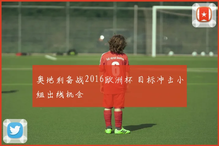 奥地利备战2016欧洲杯 目标冲击小组出线机会