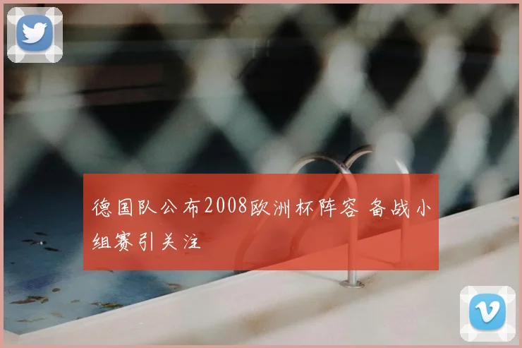 德国队公布2008欧洲杯阵容 备战小组赛引关注