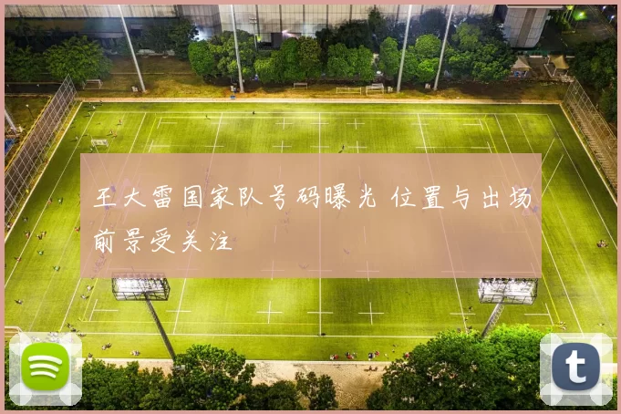 王大雷国家队号码曝光 位置与出场前景受关注