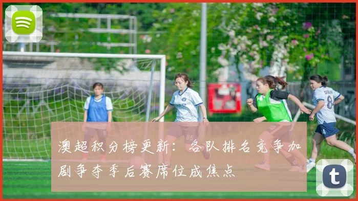 澳超积分榜更新:各队排名竞争加剧争夺季后赛席位成焦点