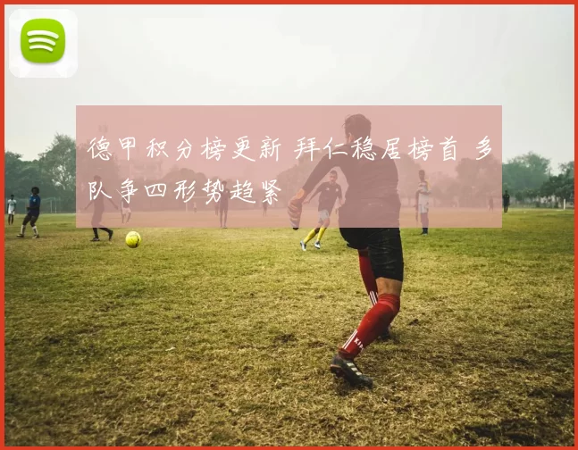 德甲积分榜更新 拜仁稳居榜首 多队争四形势趋紧