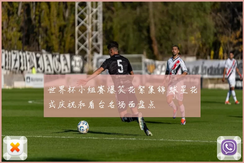 世界杯小组赛爆笑花絮集锦 球星花式庆祝和看台名场面盘点